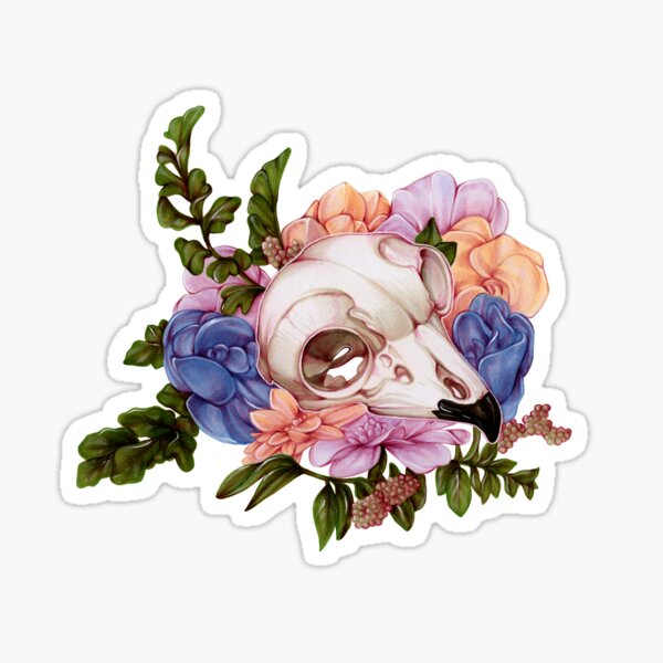 Owl Skull Sticker