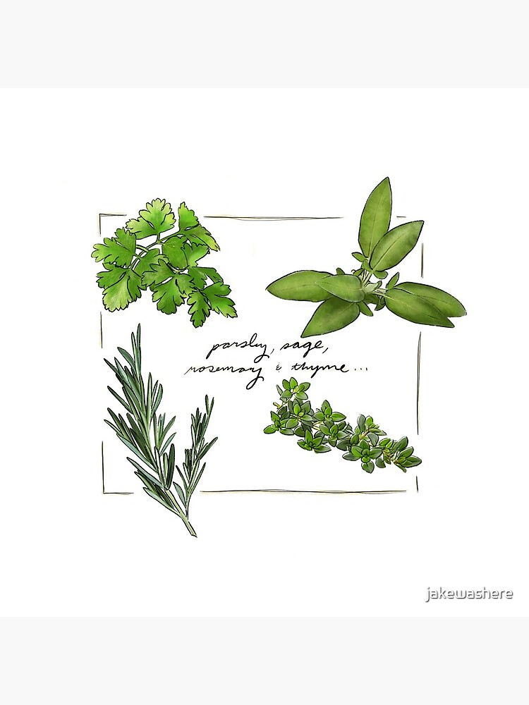 Parsley Sage Rosemary and Thyme