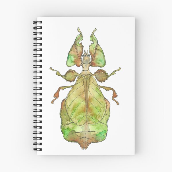 Item preview, Phyllium giganteum designed and sold by shinigamislug.