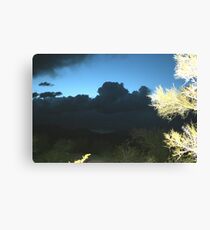 Storms................... Canvas Print