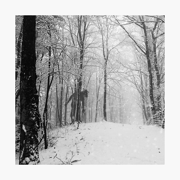 Photographic Print