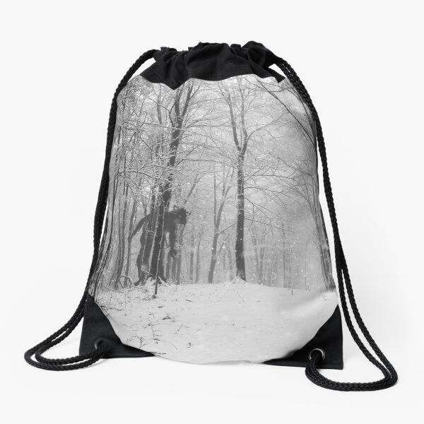 Drawstring Bag