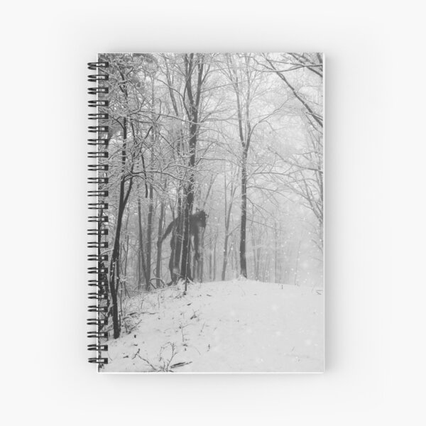 Spiral Notebook