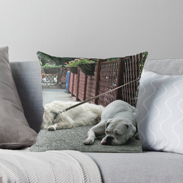 Item preview, It's a dog's life designed and sold by Liesl Gaesser.