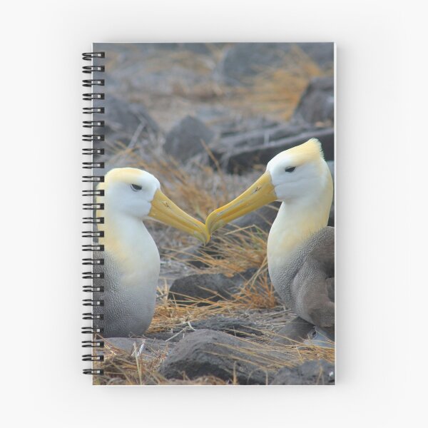 Item preview, Albatross Love designed and sold by jhuxster.