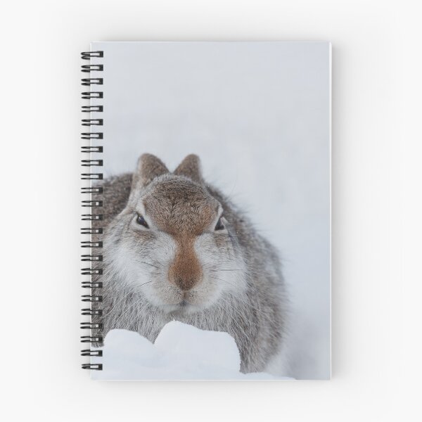 Item preview, Mountain hare on snow designed and sold by chanonry.