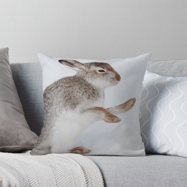 Item preview, Mountain hare on snow designed and sold by chanonry.