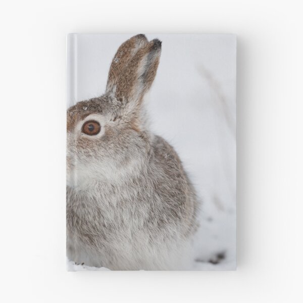 Item preview, Mountain hare on snow designed and sold by chanonry.