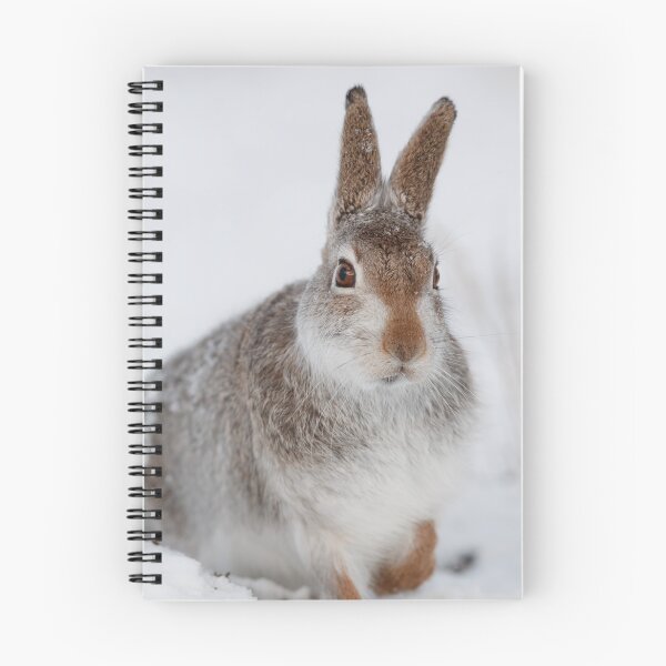 Item preview, Mountain hare on snow designed and sold by chanonry.