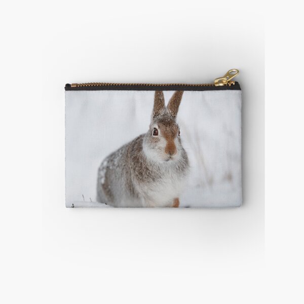 Item preview, Mountain hare on snow designed and sold by chanonry.