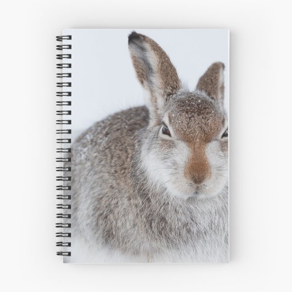 Item preview, Mountain hare on snow designed and sold by chanonry.