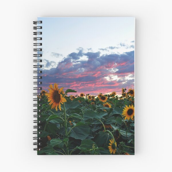Aperçu de l'œuvre sunflower sunset créée et vendue par daskibum.