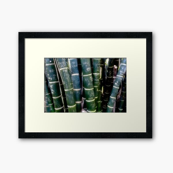 graffitti on bambo Framed Art Print