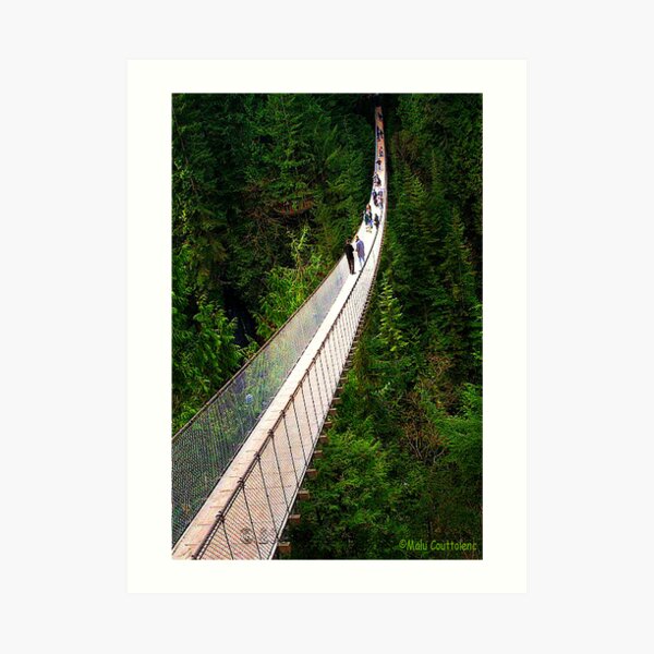 Capilano Art Print