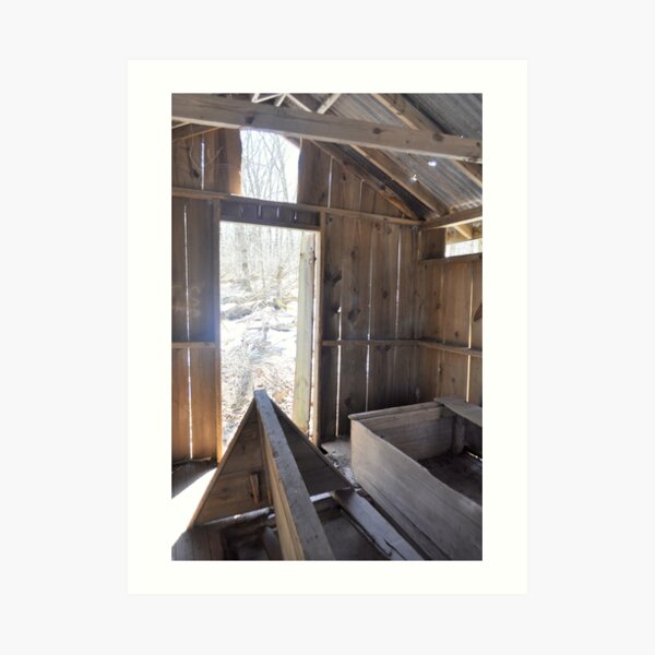 Inside Looking Out - Mt. Gretna, PA Art Print