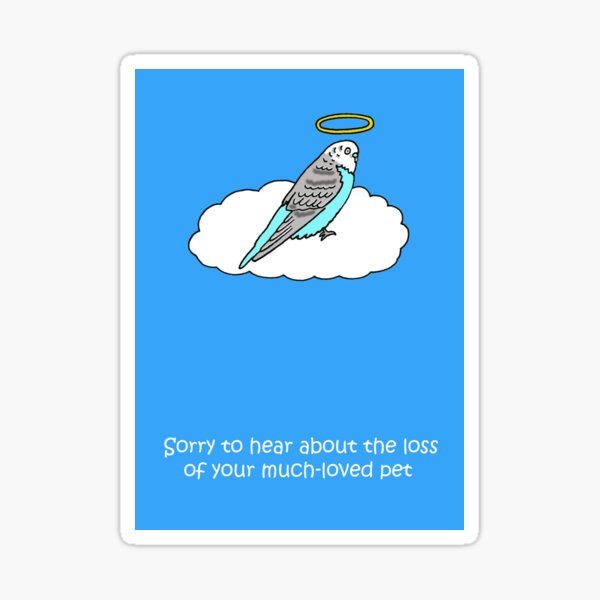 Losing A Pet Bird Quotes Pet Loss Gifts & Merchandise | Redbubble