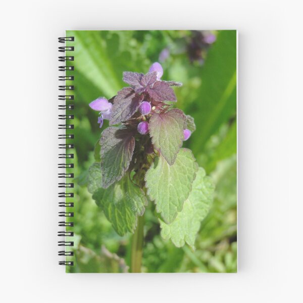 Item preview, Dead Nettle designed and sold by Barrie Woodward.