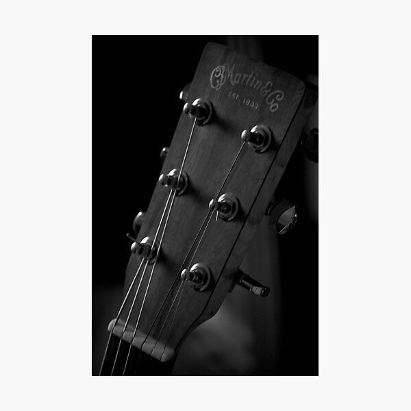 Martin 3 Photographic Print