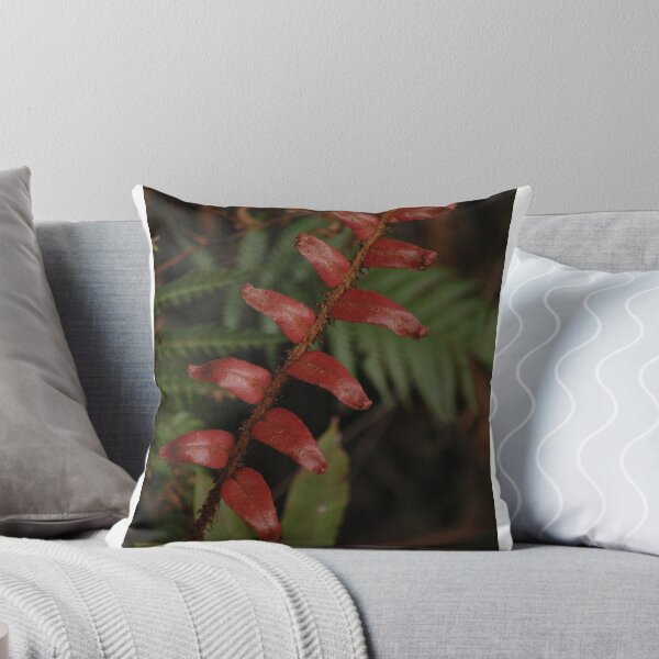 Aperçu de l'œuvre Red Fern créée et vendue par Hippo.
