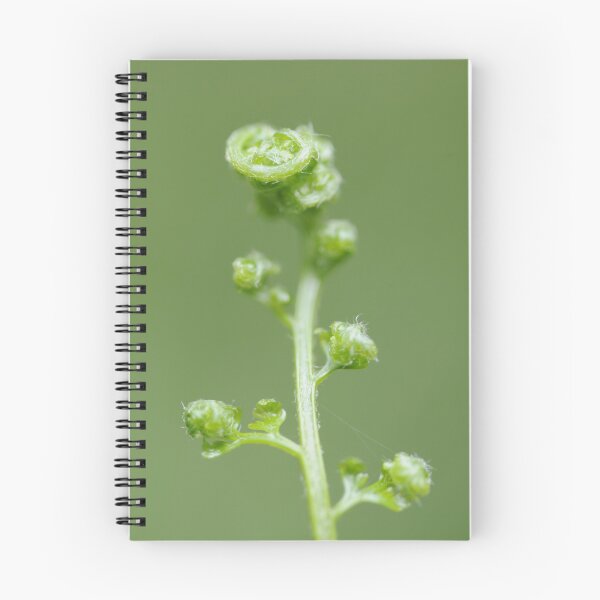 Item preview, Unfurling designed and sold by Hippo.