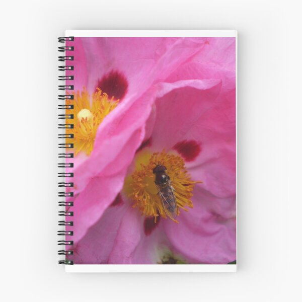 Item preview, Hover Fly designed and sold by Hippo.