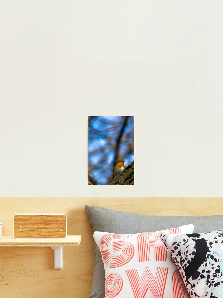 Thumbnail 2 of 3, Photographic Print, LITTLE ROBIN designed and sold by Ranger1.