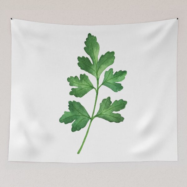 Item preview, Parsley designed and sold by InCami.