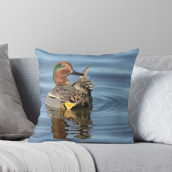 Item preview, Teal preening (male) designed and sold by lyttonimages.