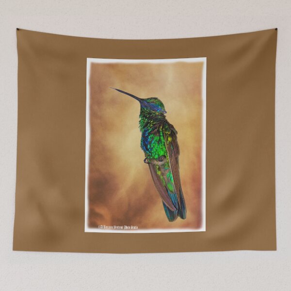 Item preview, Sparkling Violetear Hummingbird designed and sold by alabca.