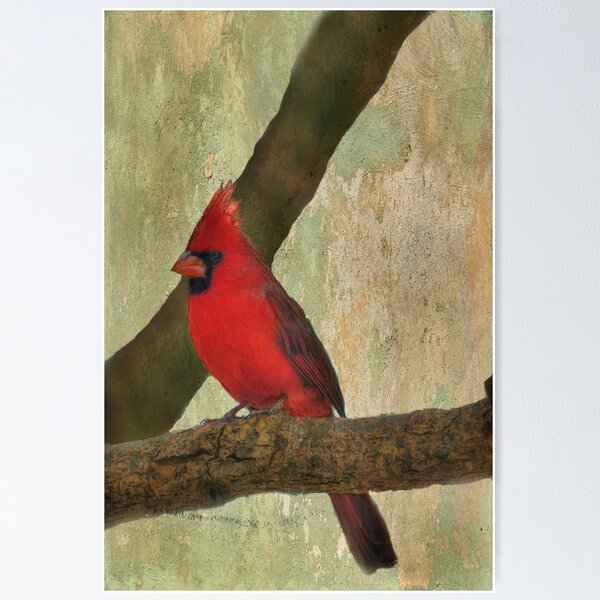 Item preview, Male Cardinal designed and sold by Barbara Manis.