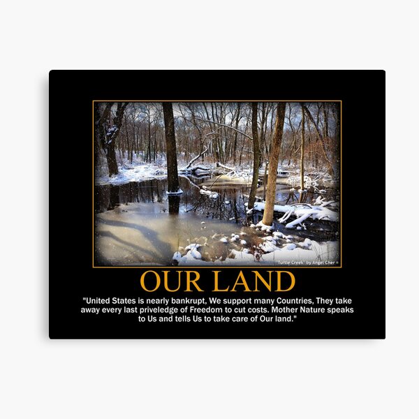Creek In The Snow Canvas Print