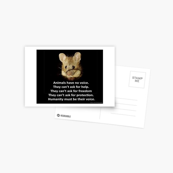 George the mouse - Postcard