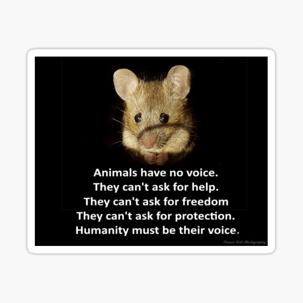 George the mouse - Sticker