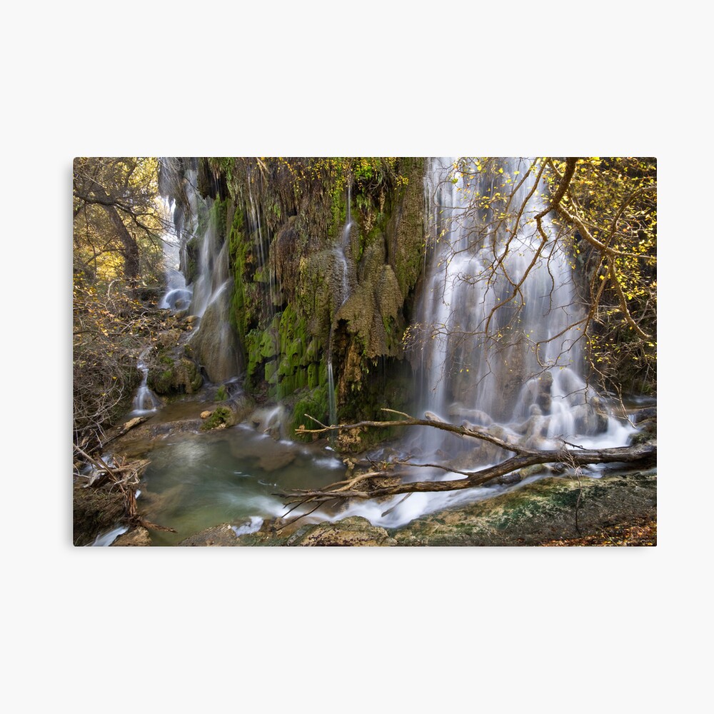 More of Gorman Falls, Texas Canvas Print