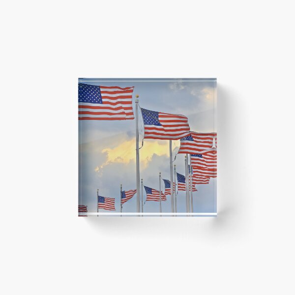 Item preview, American Flags in Washington DC designed and sold by jjohnsueb.