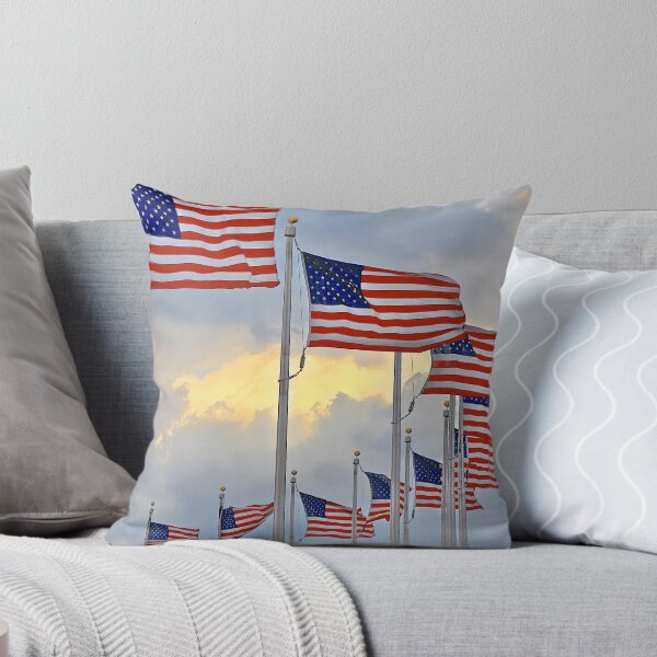 Item preview, American Flags in Washington DC designed and sold by jjohnsueb.