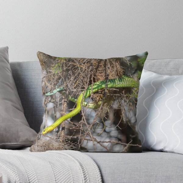 Item preview, Boomslang designed and sold by Owed To Nature.