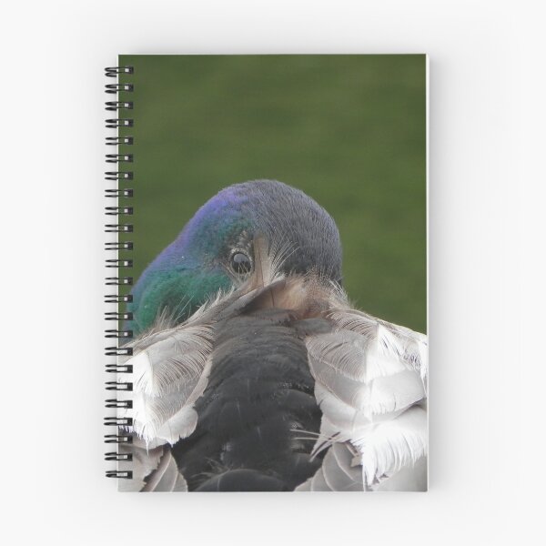 Item preview, Mallard Itch designed and sold by Martha Medford.