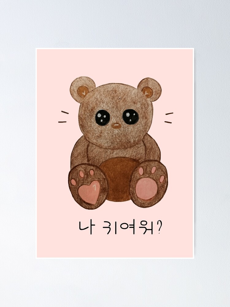 cute korean teddy bear