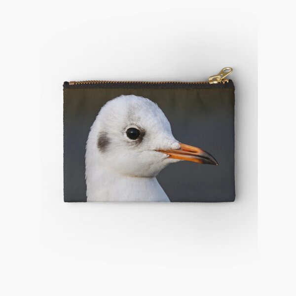 Item preview, Black headed gull (juvenile) designed and sold by GreyFeatherPhot.