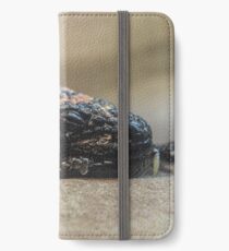 Gila Monster iPhone Flip-Case/Hülle/Klebefolie