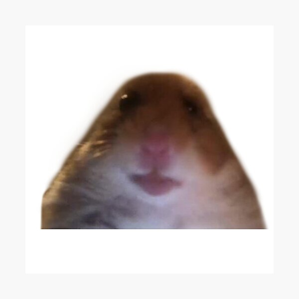 My Image 30