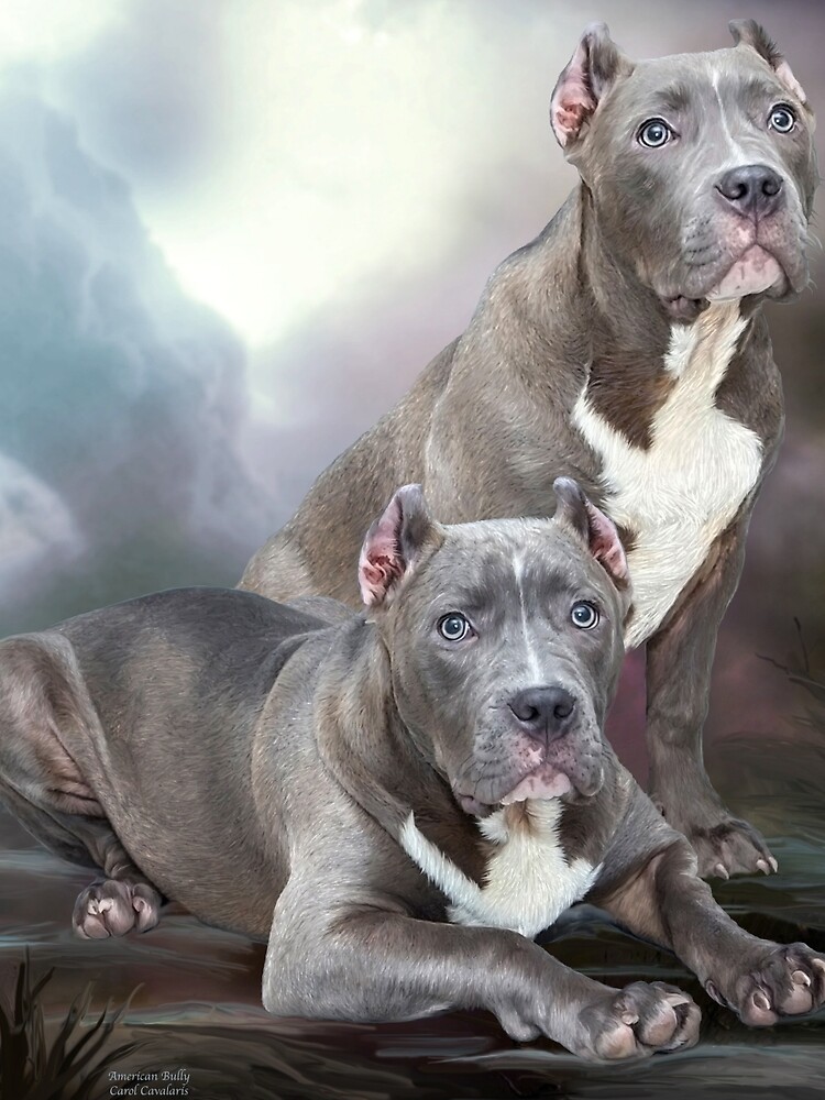 American sales miniature bully