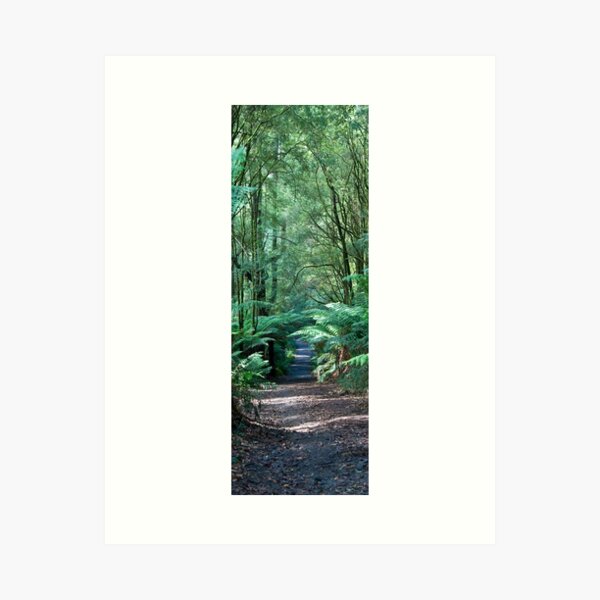 Item preview, Otway Park Forest designed and sold by Frank Moroni.