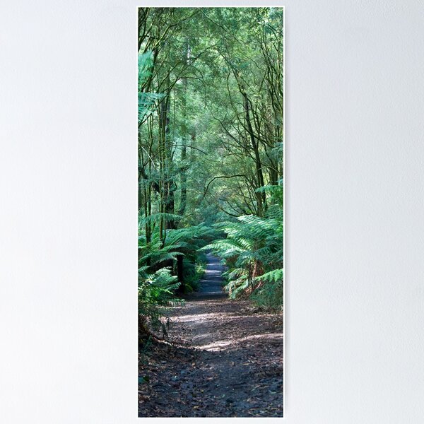 Item preview, Otway Park Forest designed and sold by Frank Moroni.