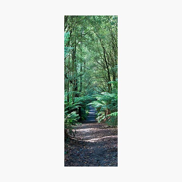 Item preview, Otway Park Forest designed and sold by Frank Moroni.