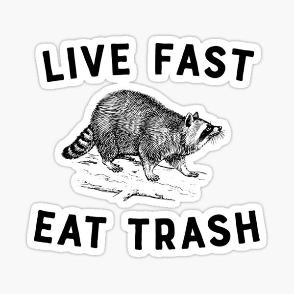 Live fast, eat trash raccoon trash panda sticker – Big Moods