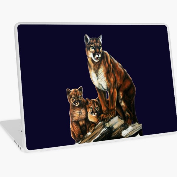 Macbook Air 13" (2015)
