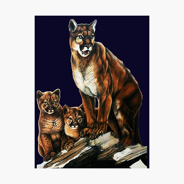 Photographic Print
