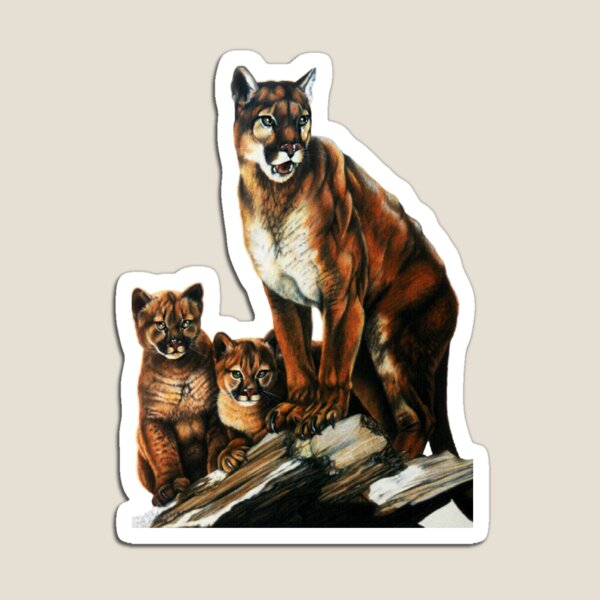 Cougar Family Magnet